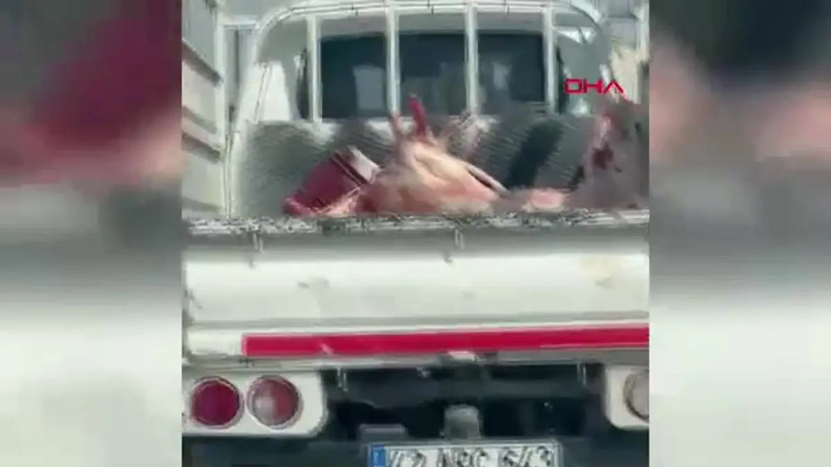 Konya’da Kamyonette Hijyenik Olmayan Et Taşınması Kamerada