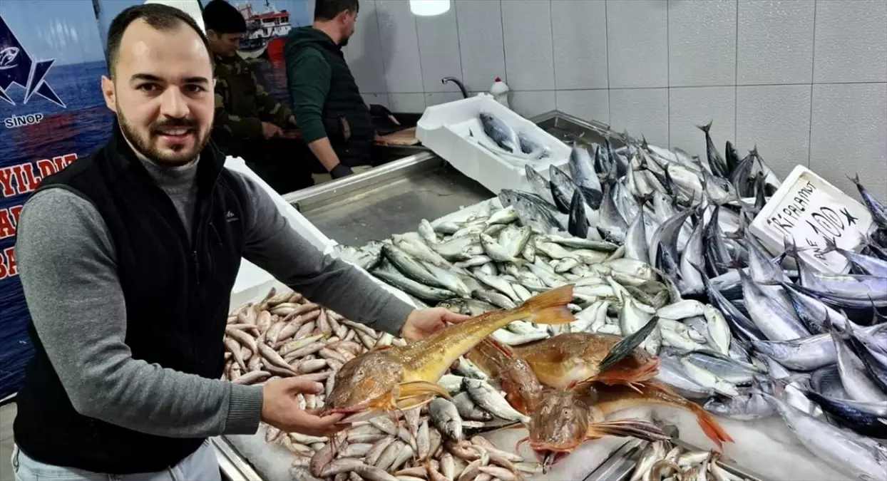 Sinop’ta Kırlangıç Balığı Fiyatı 300 Lira