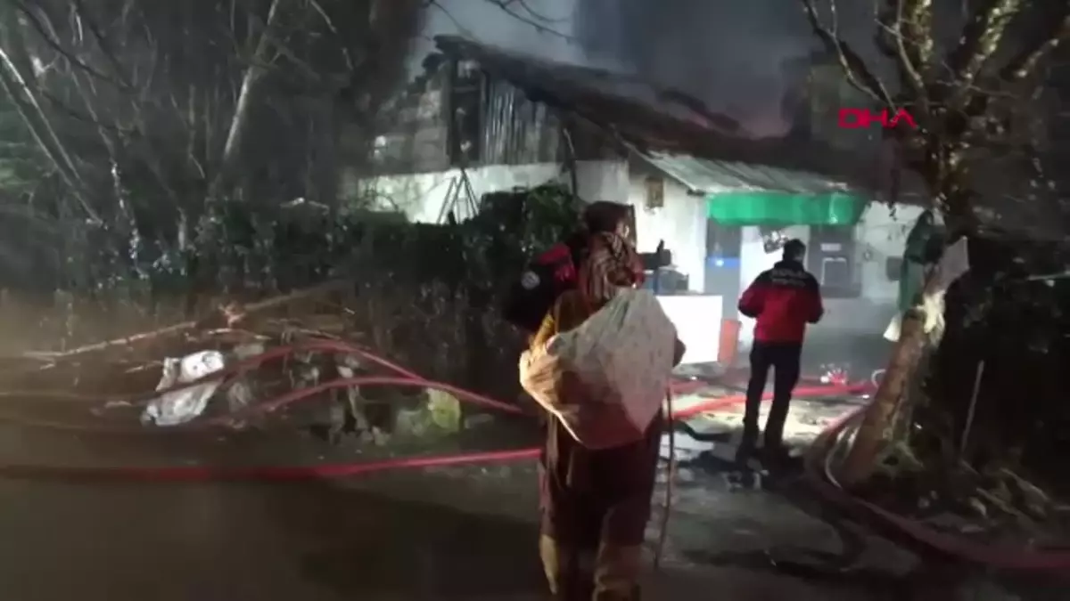 Bolu’da Yangın: 4 Büyükbaş Hayvan Hayatını Kaybetti