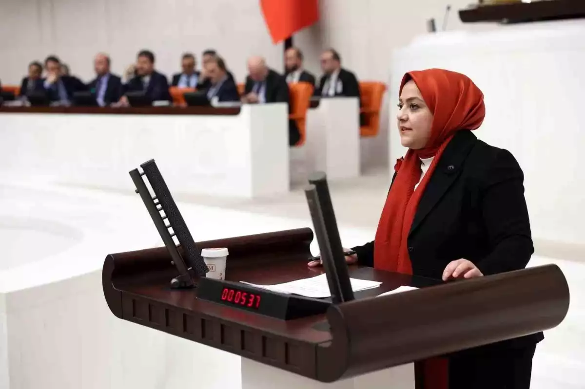 Sema Silkin Ün’den Torba Yasa Uyarısı