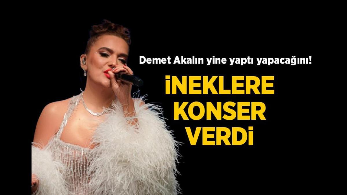Demet Akalın yine yaptı yapacağını! İneklere şarkı söyledi